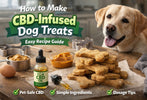 How to Make CBD-Infused Dog Treats