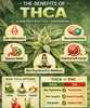 The Benefits Of THCA