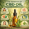 The Benefits Of CBD Oil
