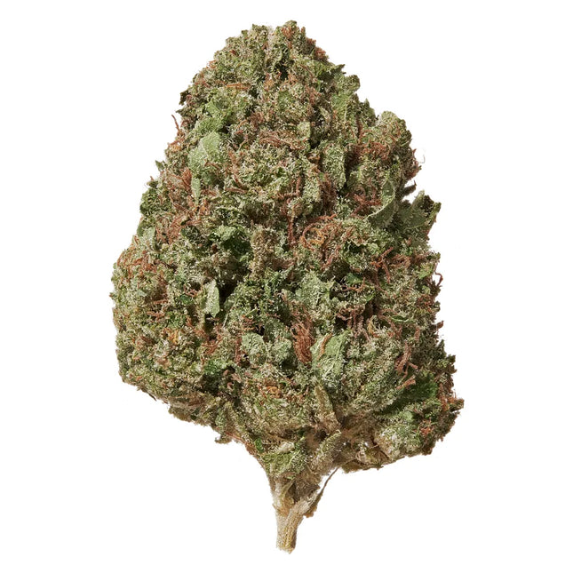 Gelato CBD Flower Tea