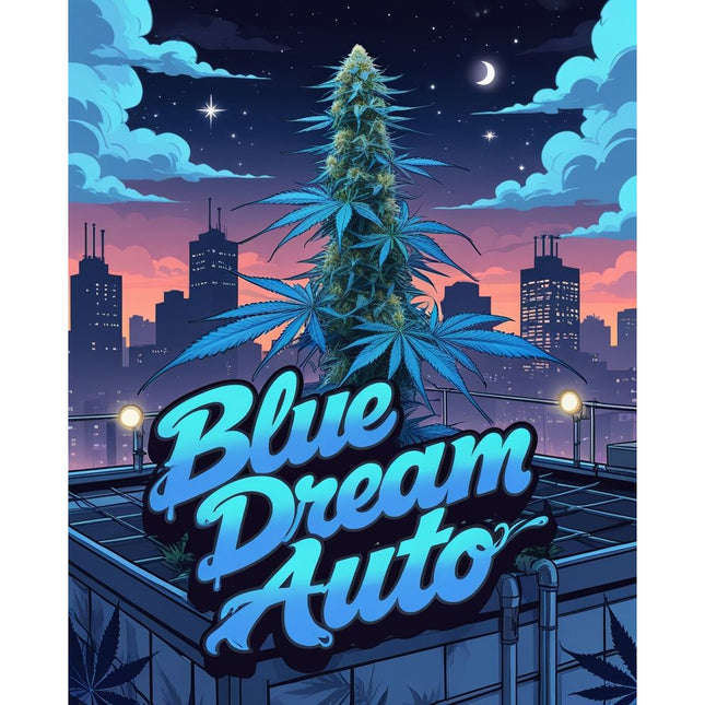 Blue Dream Auto Cannabis Seeds - Feminised